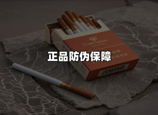 专业优势